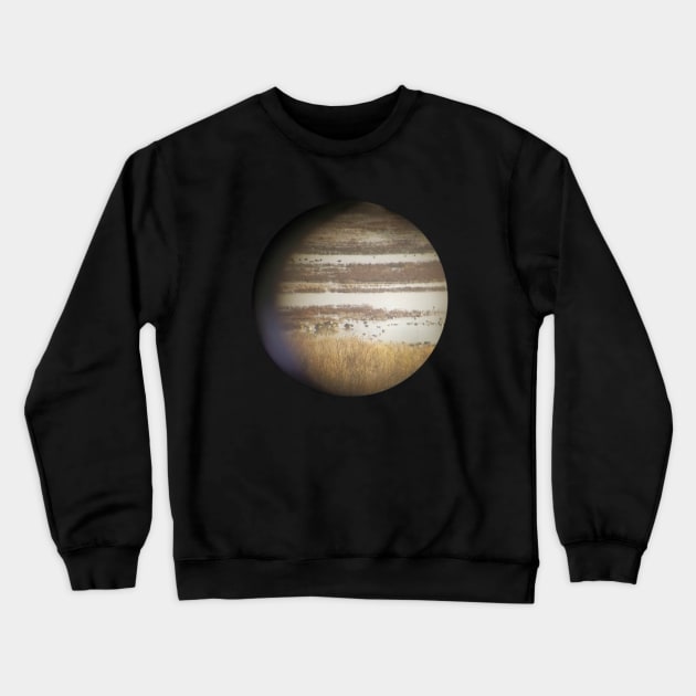 Jupiter Ducks Crewneck Sweatshirt by karutees